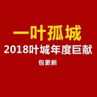 一叶孤城 2018叶城的年度巨献 共8节 股票基本面课程