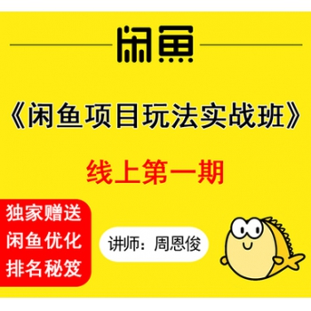 闲鱼项目玩法实战班 店群引流运营项目 宅男闲鱼教程运营闲鱼赚钱