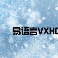 易语言VXHOOK视频教学1-34集全集含源码