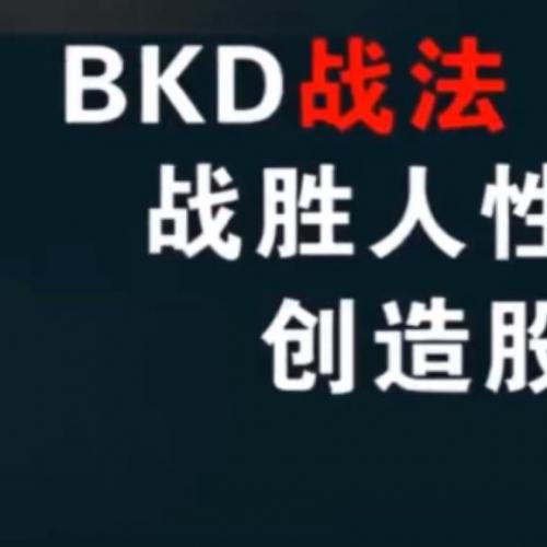 张清华--BKD战法视频全集共10集 股票视频培训课程