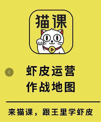 猫课出品：2019虾皮Shopee视频教程和资料【111集】 王里跨境电商