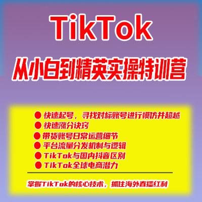 TikTok从小白到精英-实操特训营