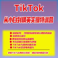 TikTok从小白到精英-实操特训营