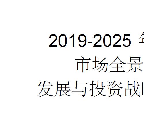 2019-2025年中国面包市场全景调研及发展与投资战略咨询报告