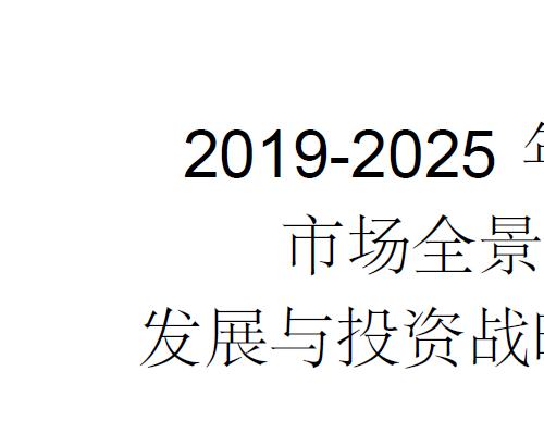 2019-2025年中国面包市场全景调研及发展与投资战略咨询报告