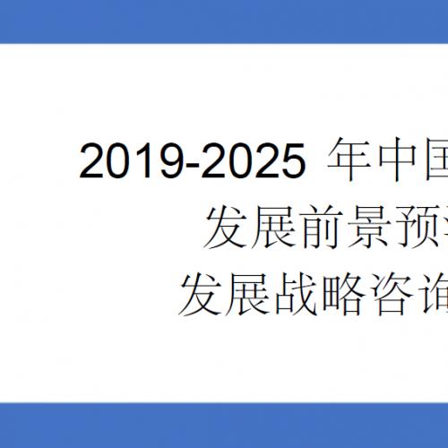 2019-2025年中国服装行业发展前景预测与发展战略咨询报告