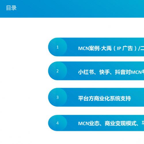 MCN案例及模式分析20191202MCN案例及模式分析20191202